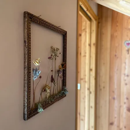 Bed & Breakfast Marcellina
