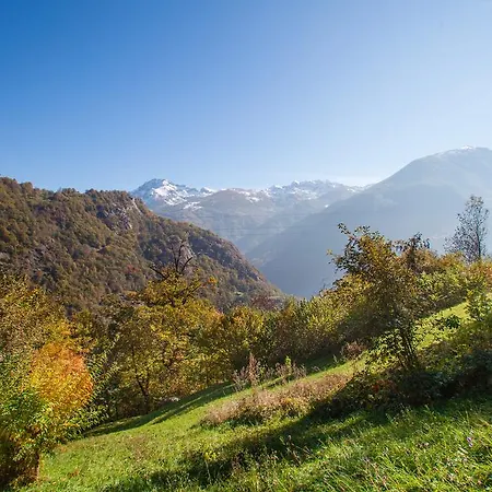 Marcellina Oda ve Kahvaltı Bard